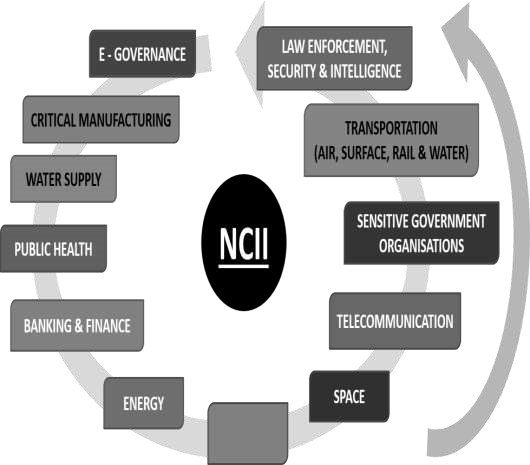 Figure 2 : National Critical Information Infrastructure